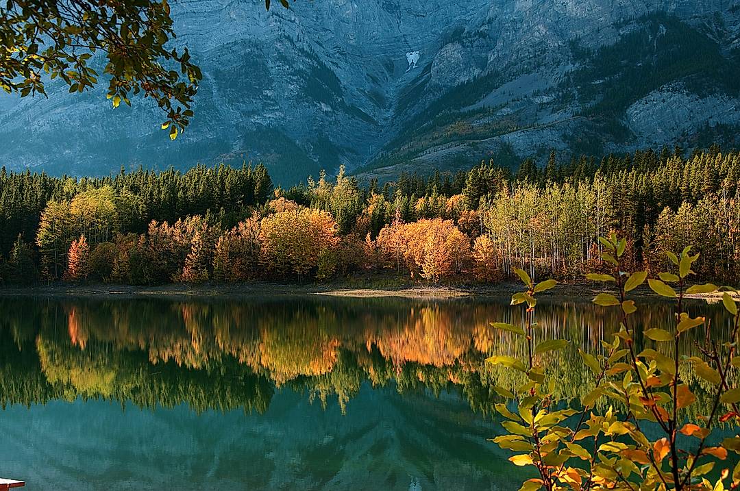 Fall Colours at Wedge Pond in the Kananaskis Valley