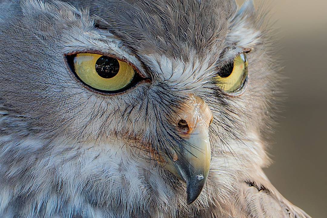 Up close and personal for this shot