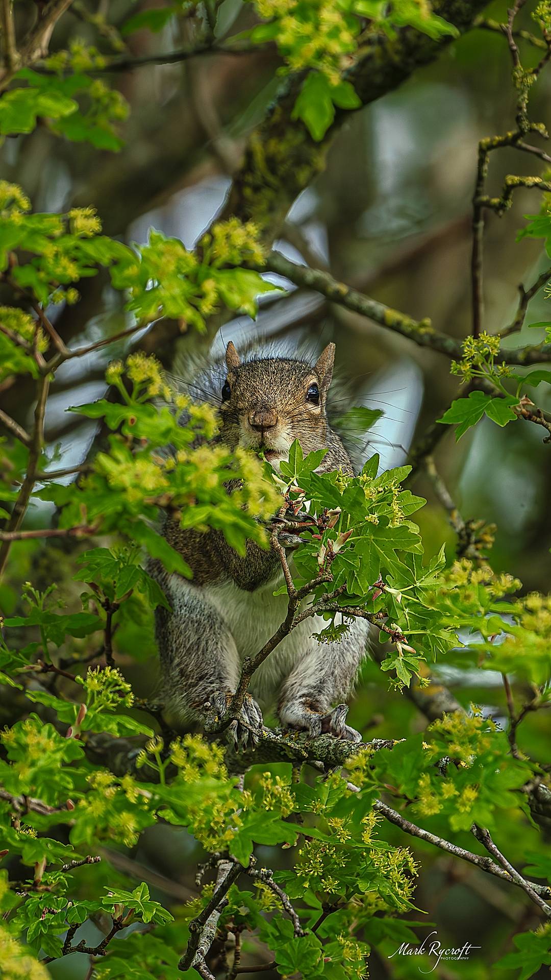 A recent encounter with a furry friend while on holiday