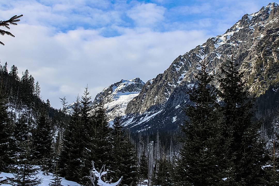 Winter Scenes