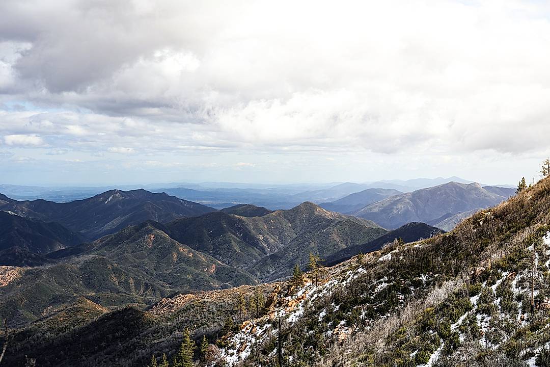 Los Padres Nat'l forest with a rare case of snow