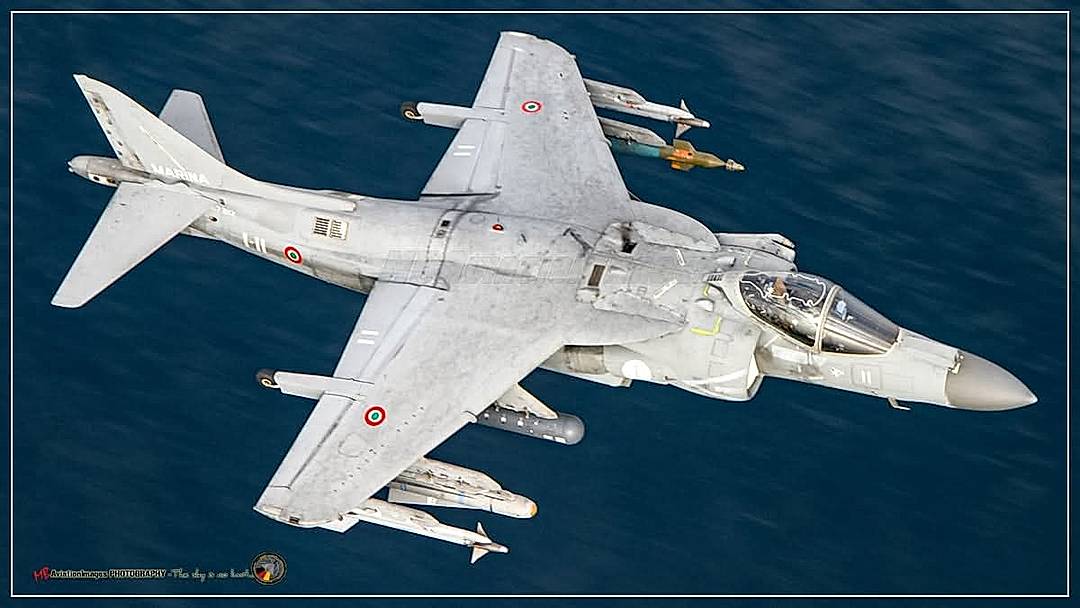 Harriers