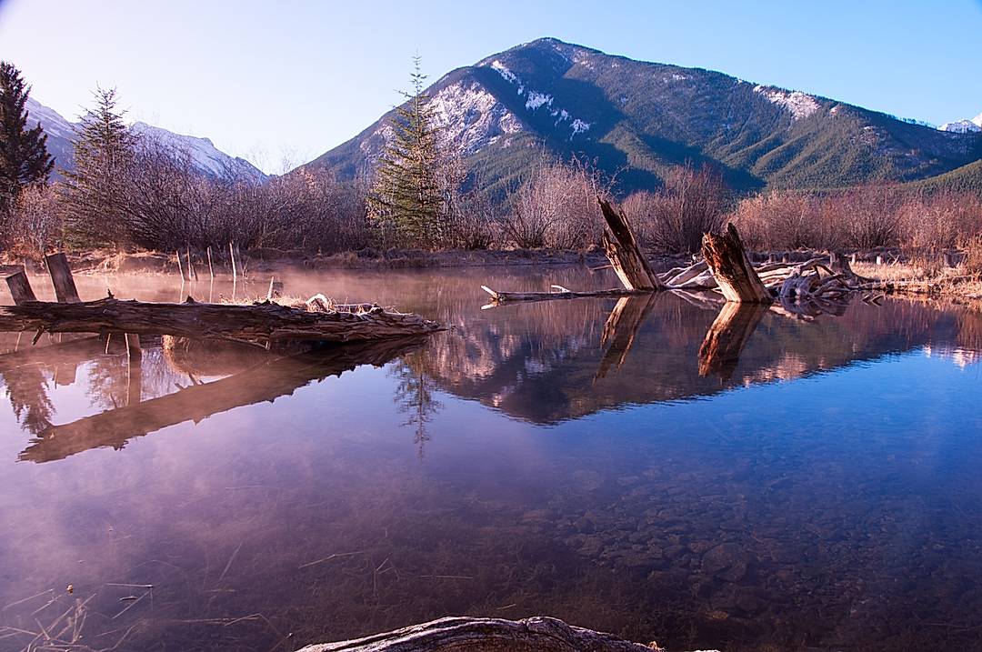 Vermillion Lake reflection. Submerged trees and Sulphur Mountain. 