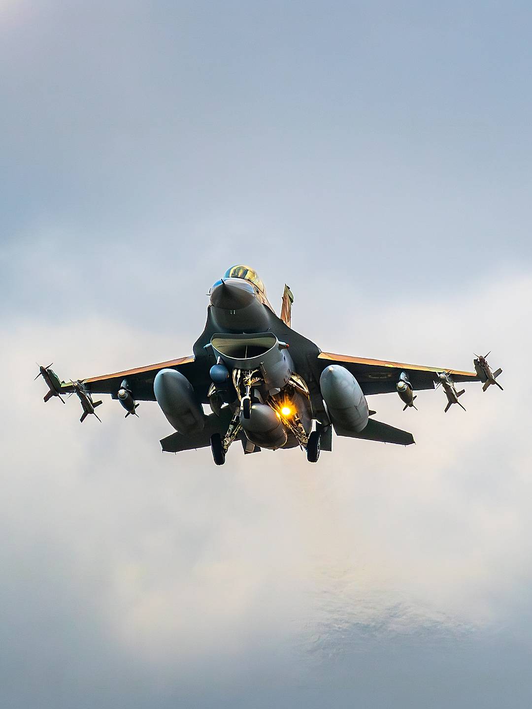F-16: The Viper