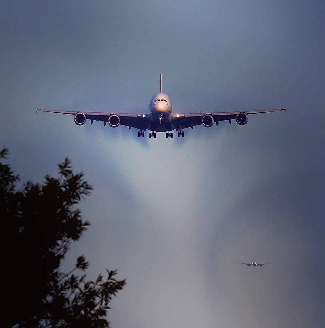 Lost In The Fog