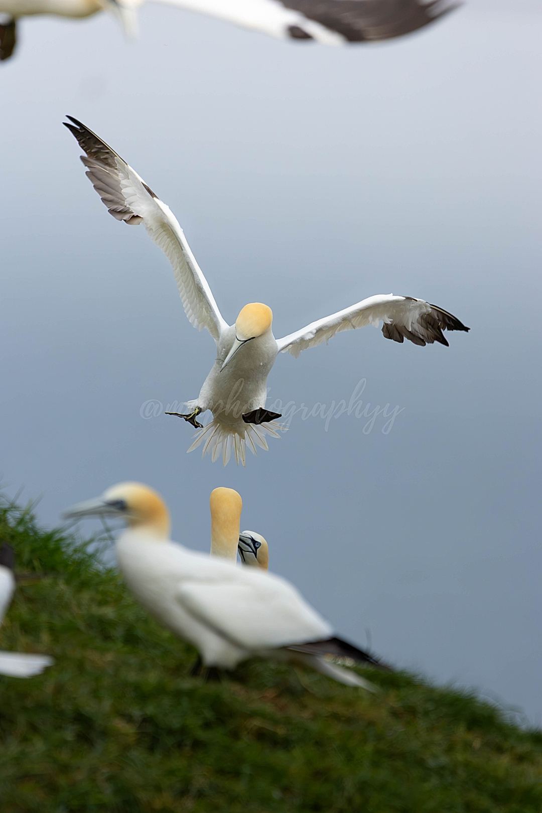 Taking Flight
