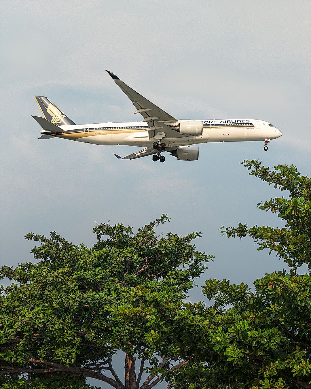 Aviation x Landscape