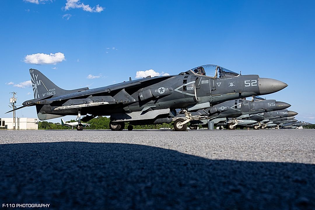 Harriers