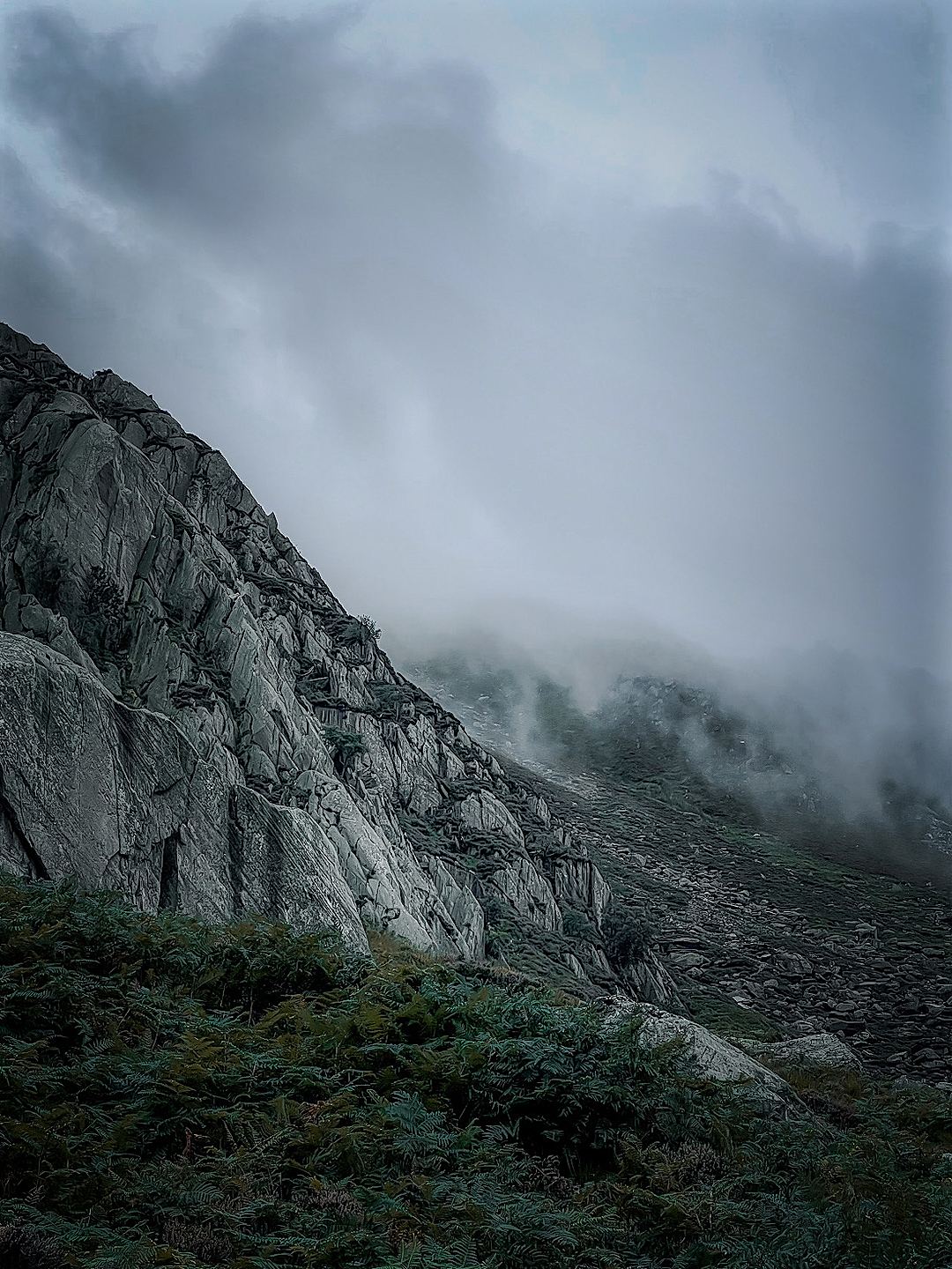Moody Mornings