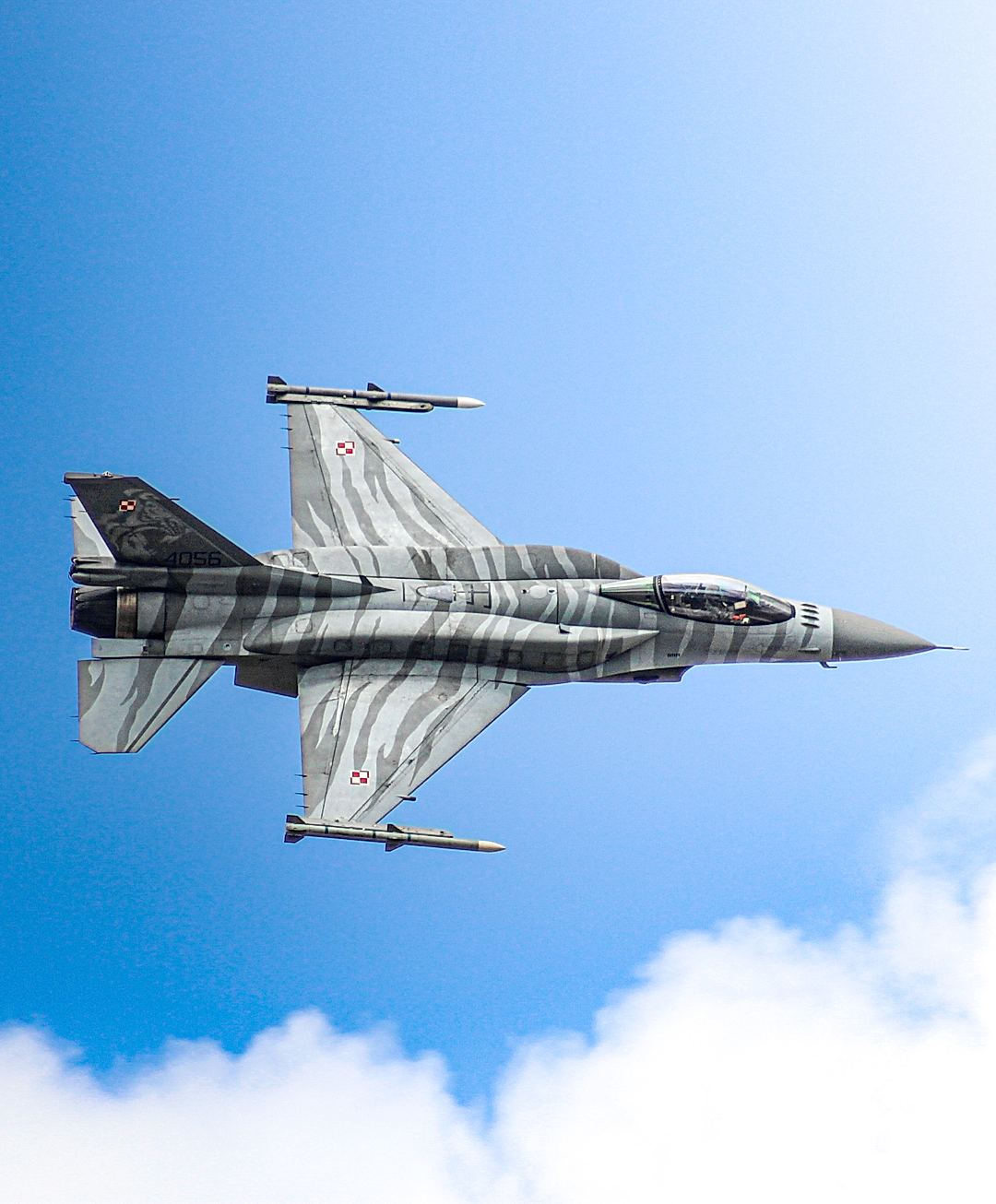 Your Favourite Livery