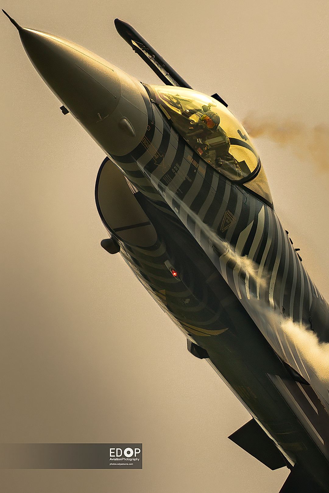 Solo Turk - Golden !
