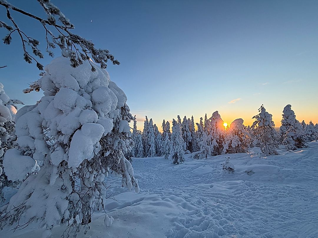 Finland 