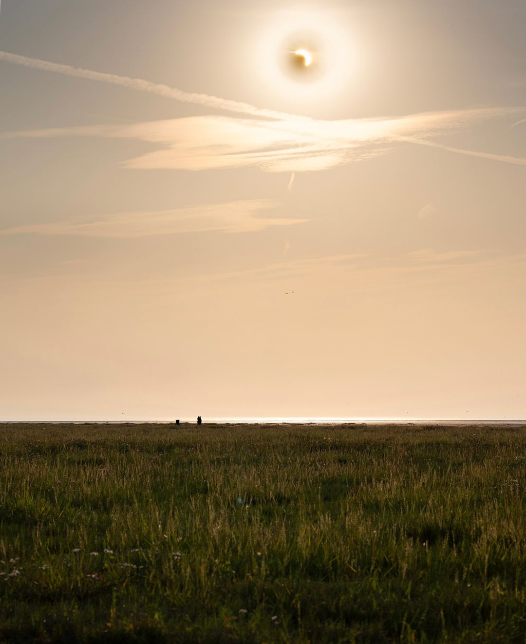 Tried to capture the wider scene during the eclipse, having some issues with balancing out the brightness around the sun from this composite image though. Any advice welcome