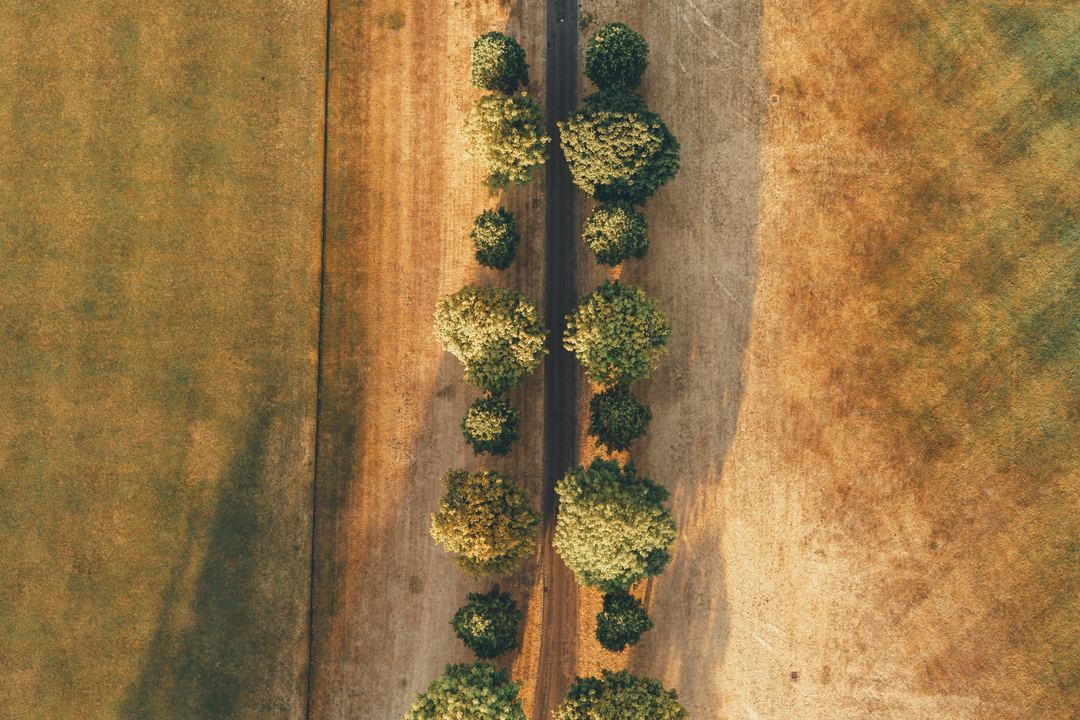 Symmetry from the sky as the sun rises in rural England