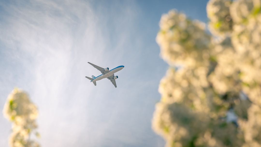 KLM passing overhead on base at the peak of blossom season in Utah
