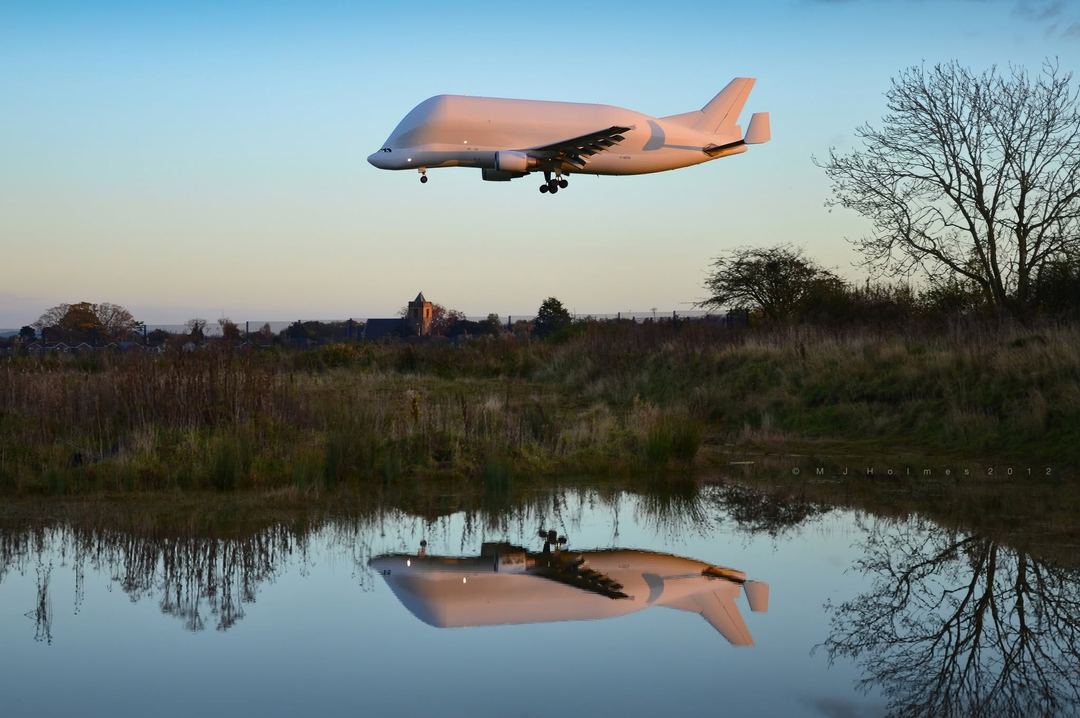 Beluga reflection at sunset, in the last of the sunlight.
An unmarked Airbus Beluga F-GSTD (no.4) arriving at Hawarden, way back in November 2012. The light had been perfect & then for some reason they flew several circuits above the airfield, I didn't have my scanner, so no idea why. A minute after it landed & the light was gone!