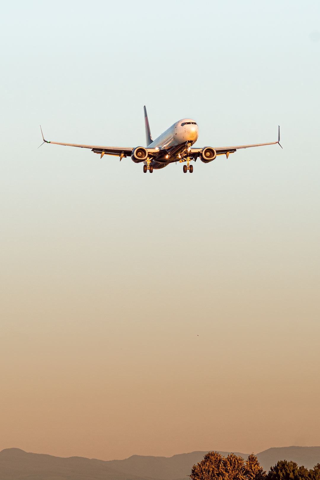 Delta 737 landing on a late summer evening at PDX 