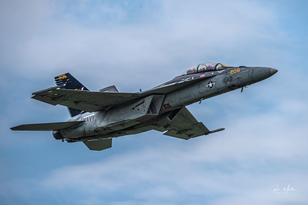 2025 F/A-18 Rhino Demo Team National Warbird Museum Geneseo Airshow - The Greatest Show on Turf
