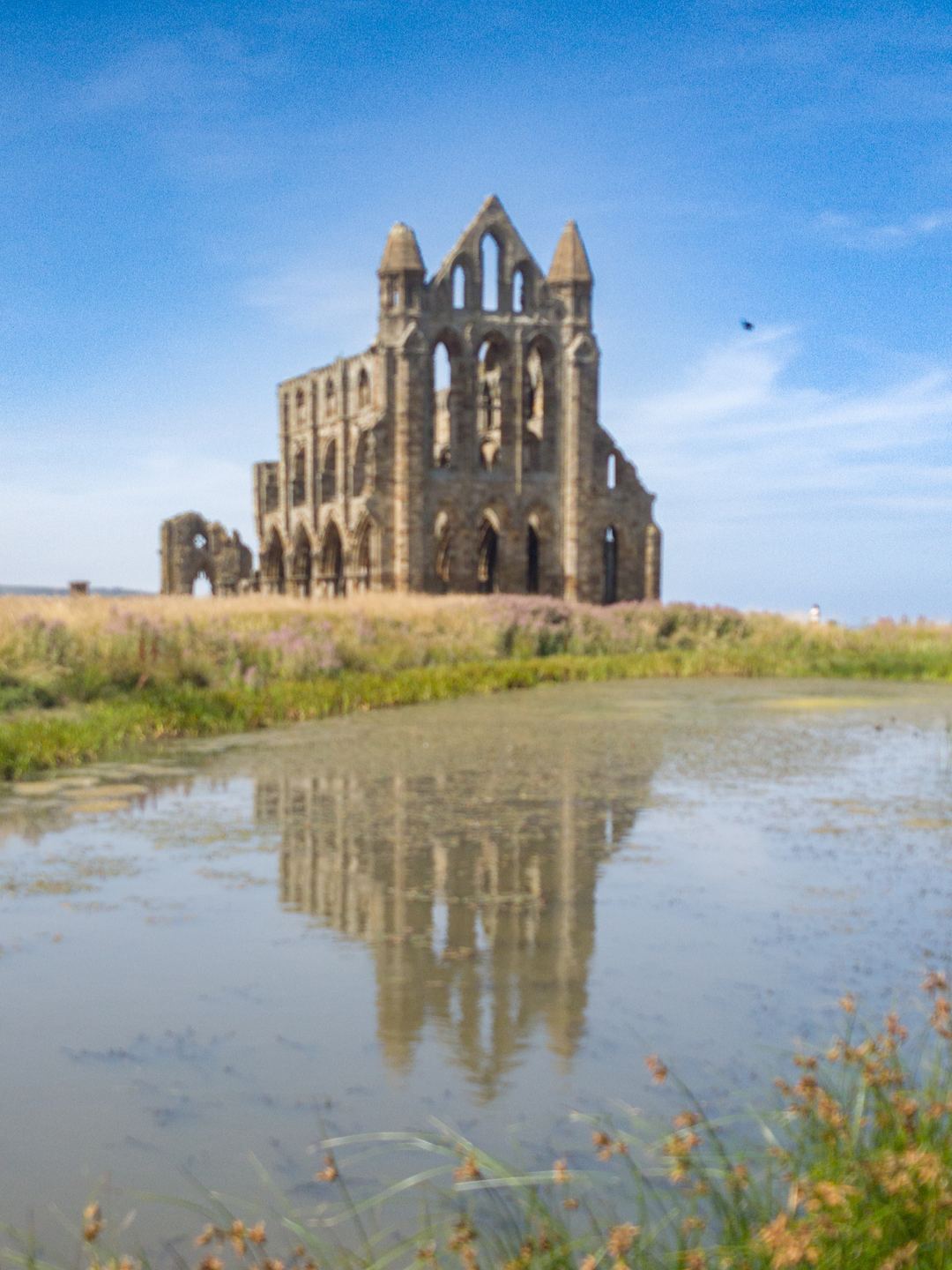 Reflecting on Whitby Abbey 🫶
