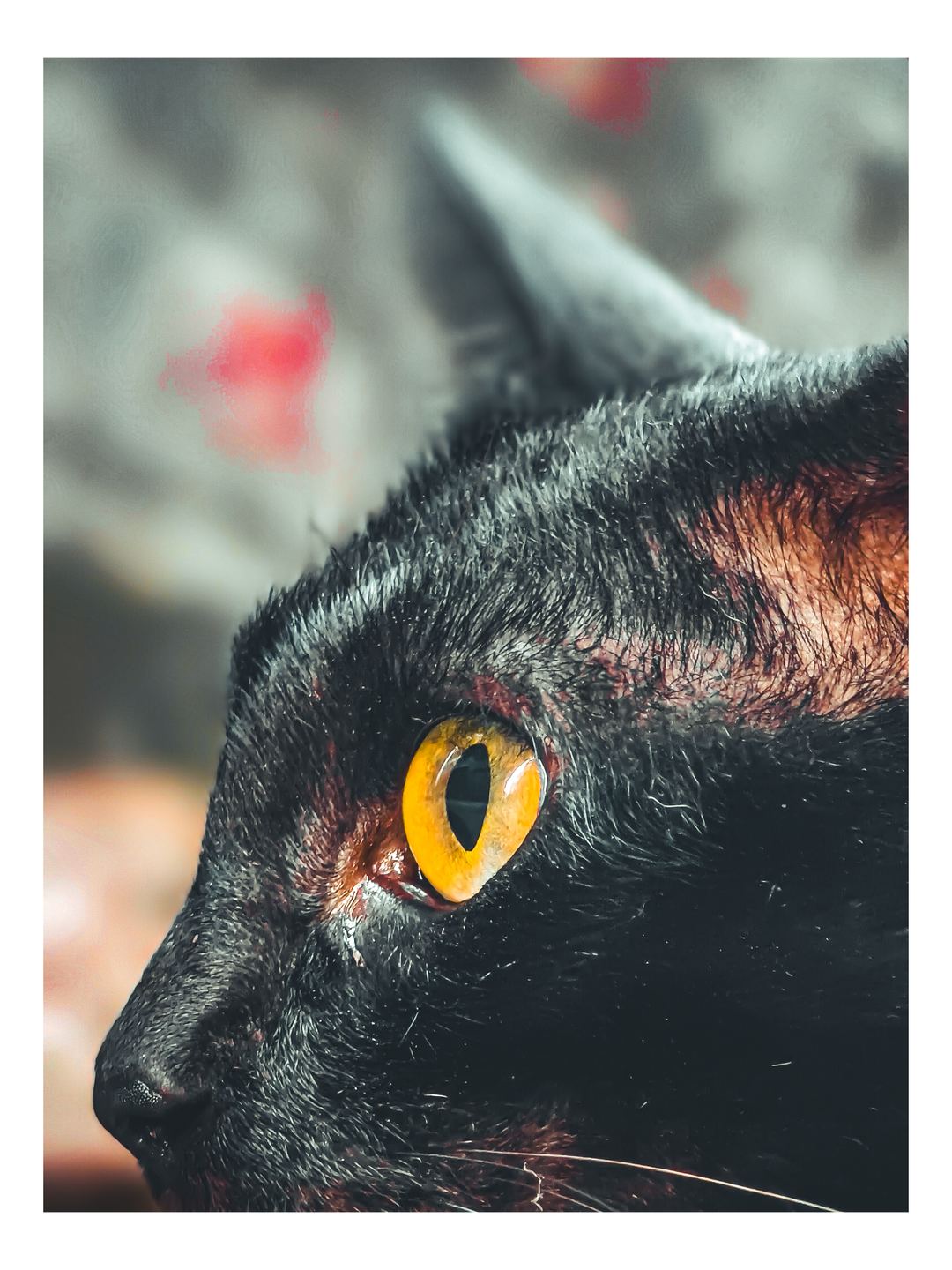 👀
