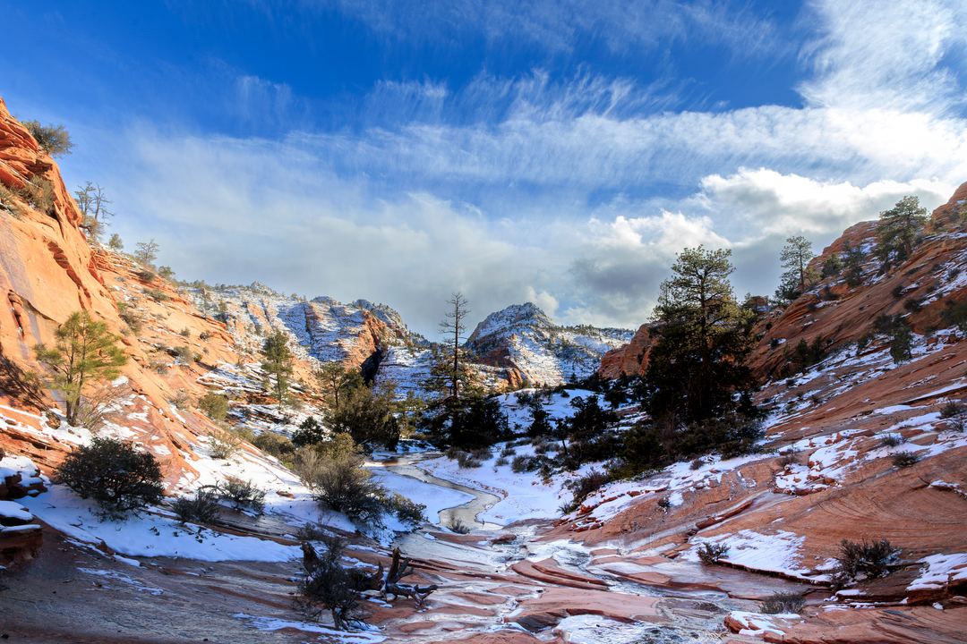 Captured this in Utah after a quick winter blizzard. The snow had already started melting only 6 hours after the snowstorm.