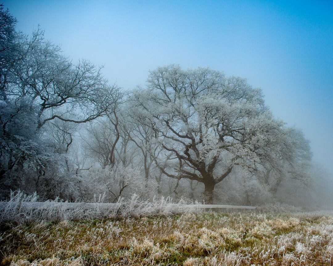 Frost and fog on a cold winters morning