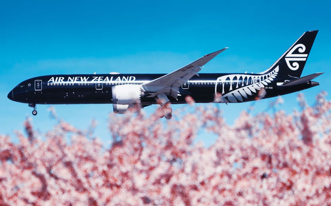 Air New Zealand All Blacks livery sailing past some cherry blossoms at YVR