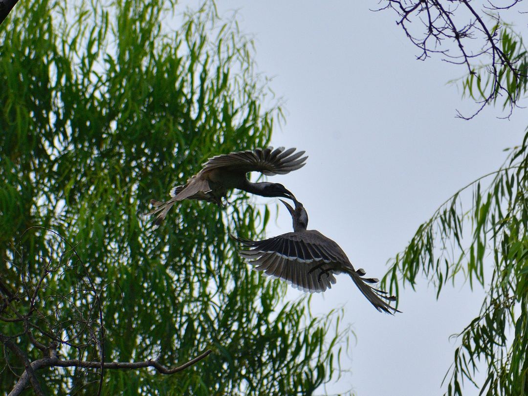 Photograph by Hriday Amrutiya