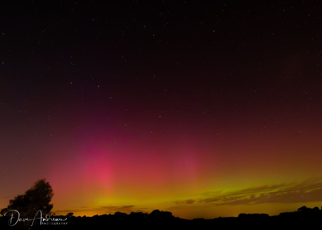 Photograph by Dave Andrews