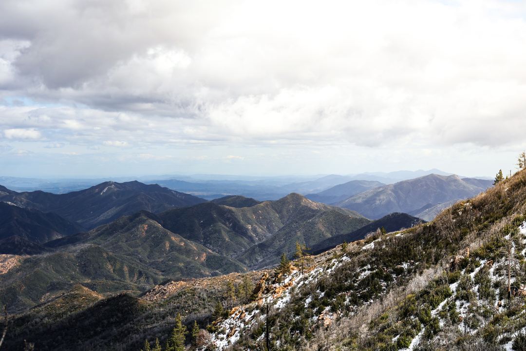 Los Padres Nat'l forest with a rare case of snow