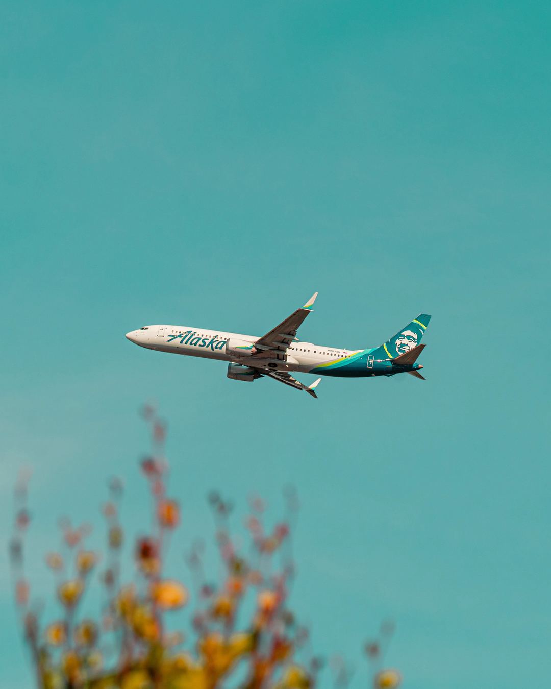 Alaska Airlines 737 departing from SEA on a sunny mid afternoon day