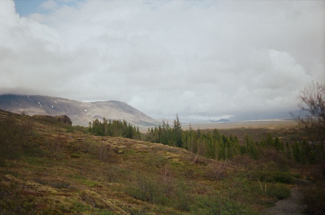 Thingvellir National Park — Iceland 🇮🇸

Captured on film

Kodak Ultramax 400