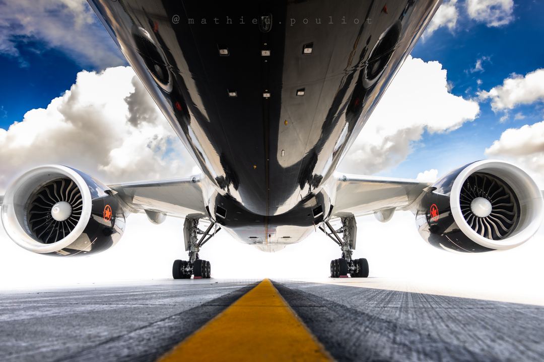 The belly of the beast.
