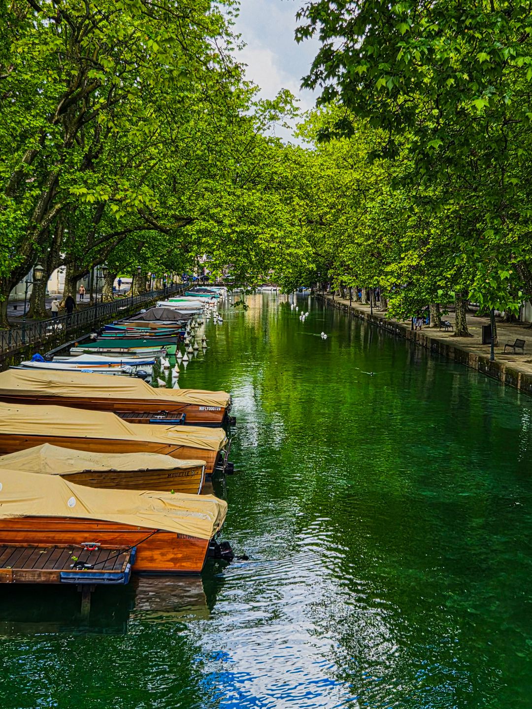 A river