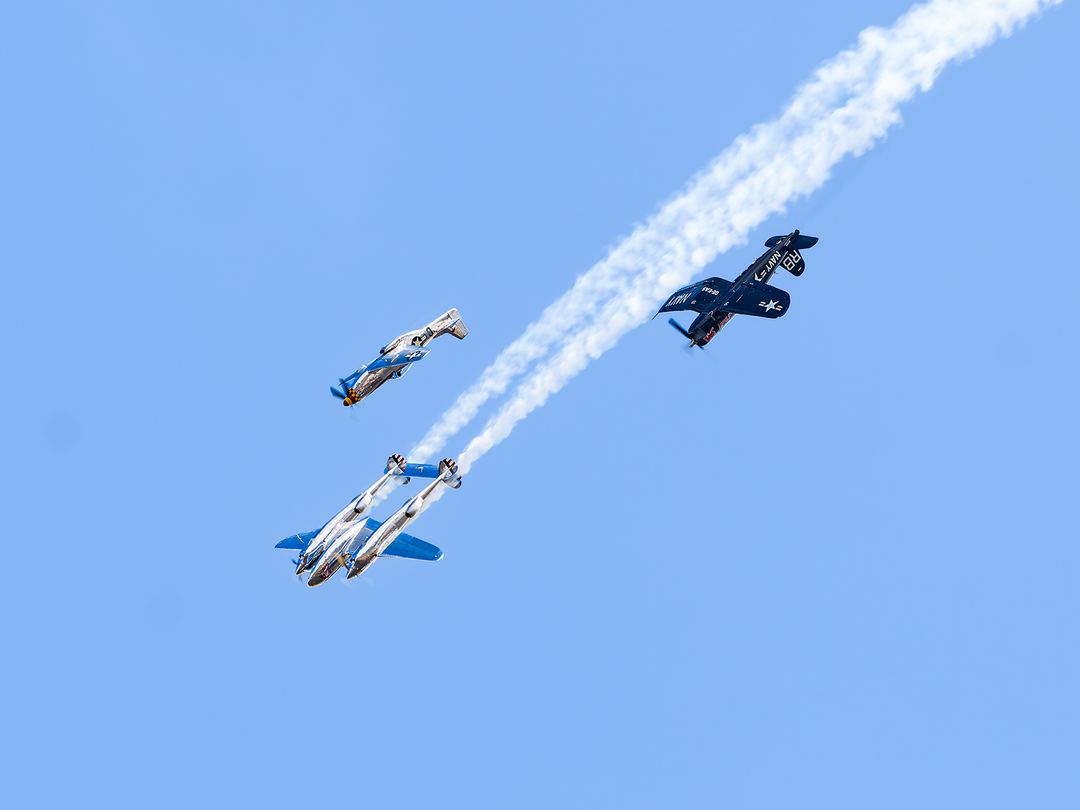 The Flying Bulls