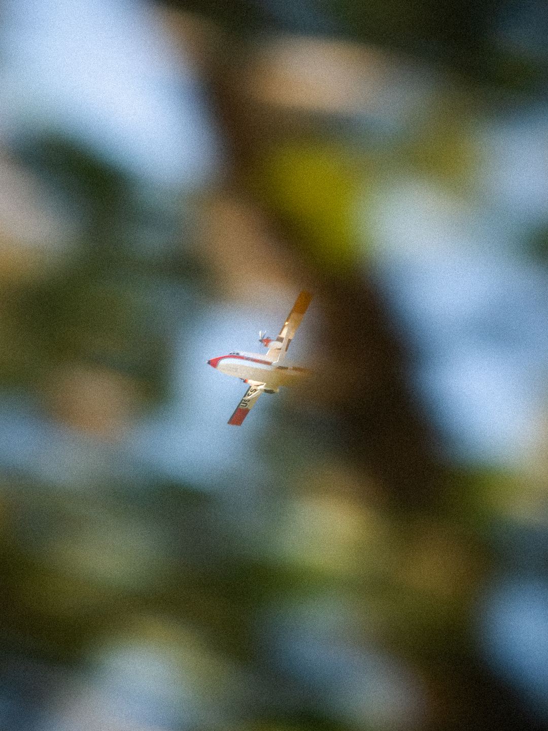 One of my modt unique photos