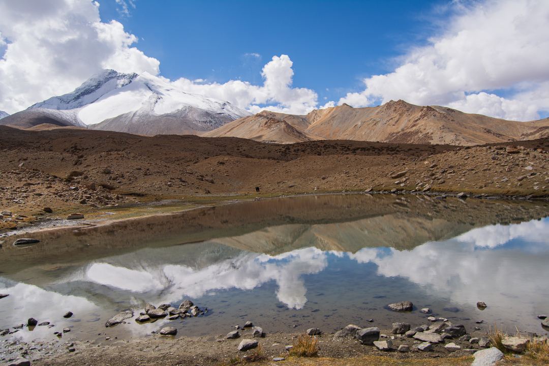 Markha Valley, Ladakh