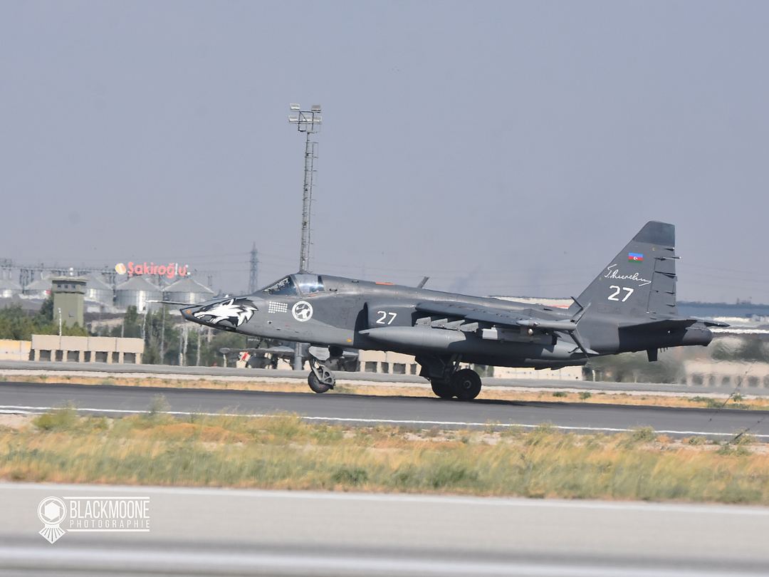 Anatolian eagle 2025