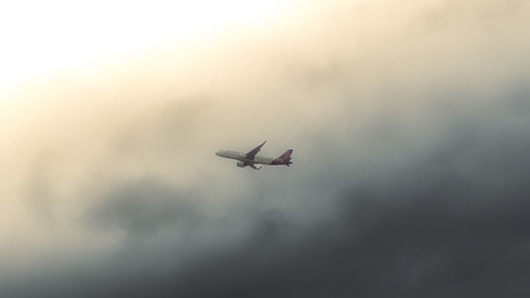 Spotting day