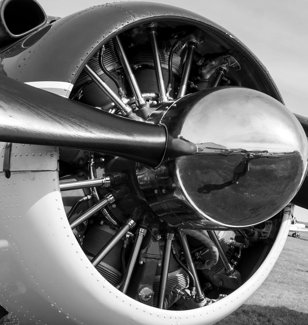 Pratt and whitney Junior Wasp radial engine 😍