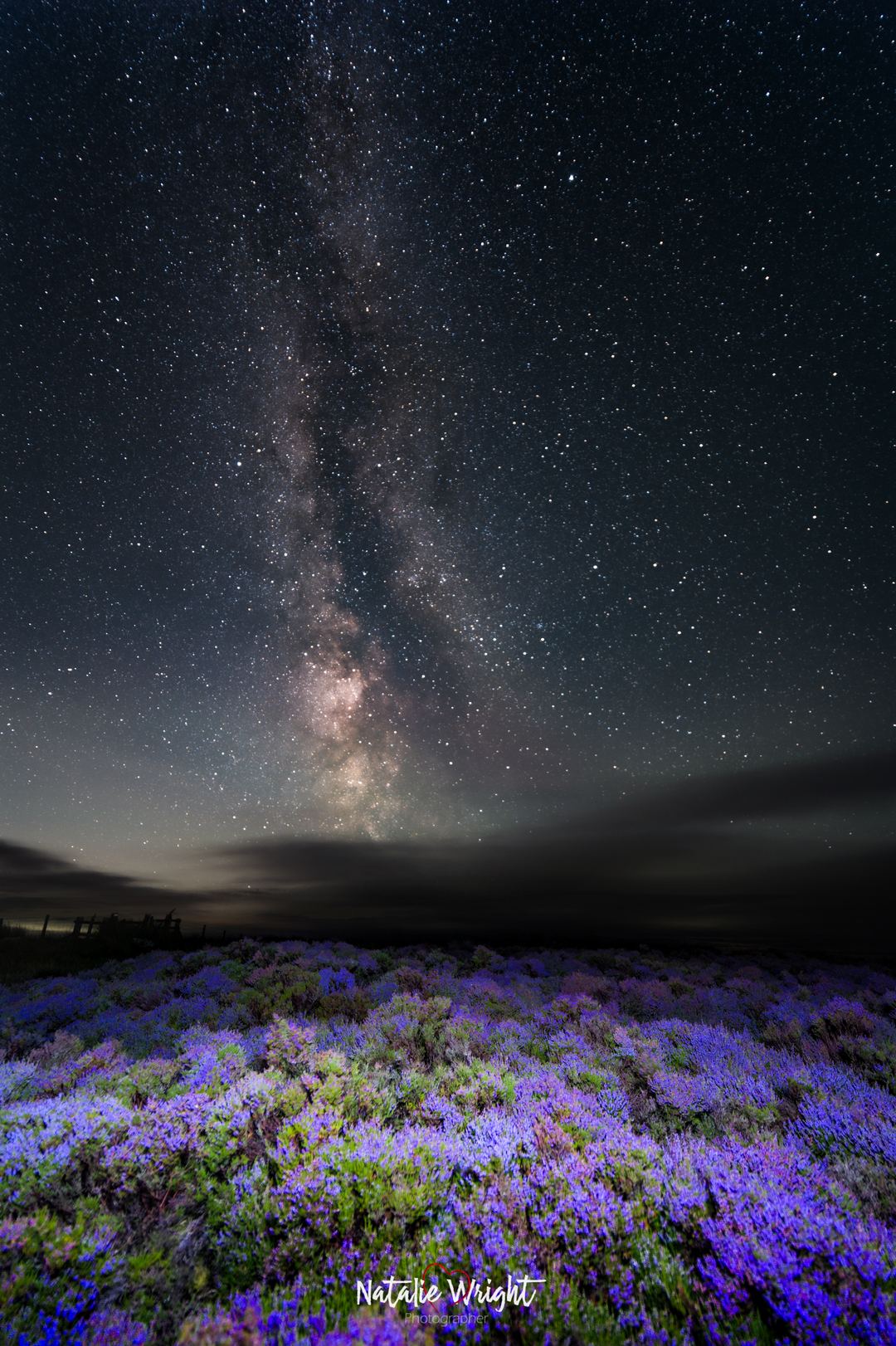 Heather in Northumberland only flowers for 3-4 weeks, so catching the milky way with it is a rare treat! 

I used a torch to light up the heather, with a cool light.  Tweaked in post, and used around 15 stacked sky images of  the milky way.  The cloud just added to the drama!