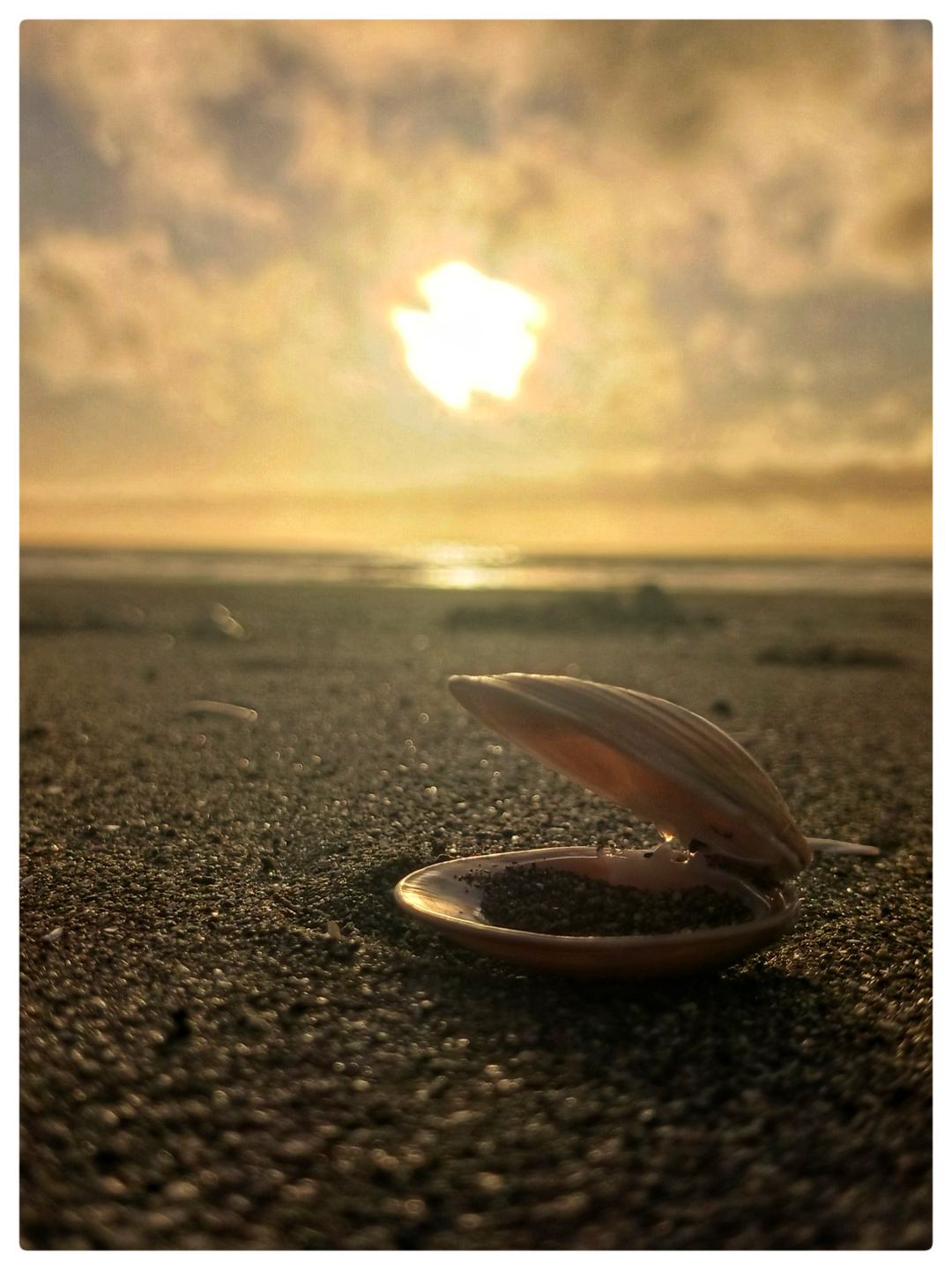 Beach days on the Kāpiti Coast.

I am very fortunate to have lived on NZ's North Island West Coast for the last 3.5 years. Stunning sunsets, friendly people and only 45 mins from Wellington by train or car. 