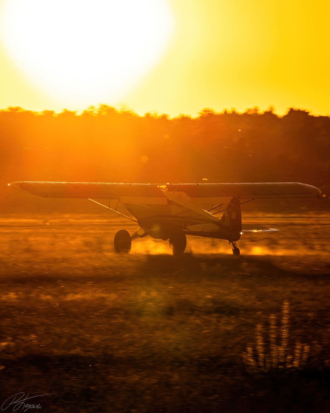 Into the sunset 