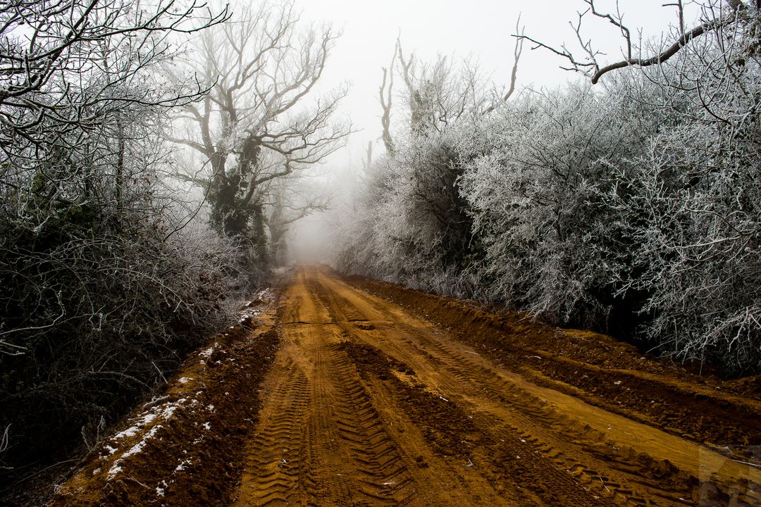 Road leading to the quarry