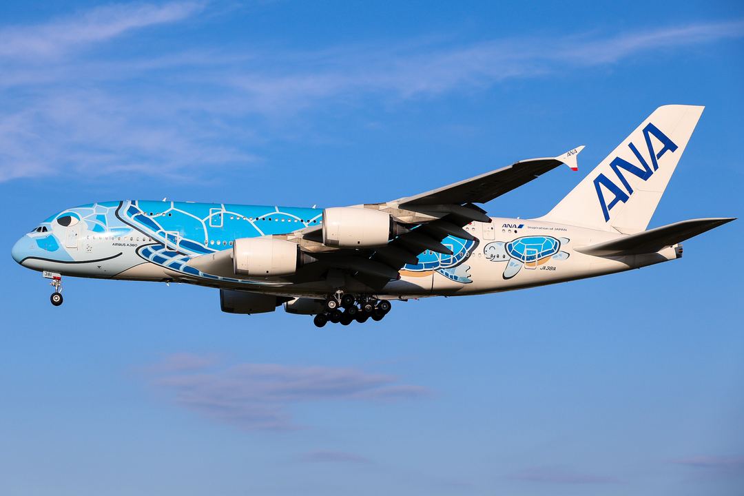 ANA’s blue Honu “Lani” meaning sky coming in for landing on runway 34L at Tokyo Narita (RJAA) I am so happy I finally got to see this as it has been on my bucket list for a while!