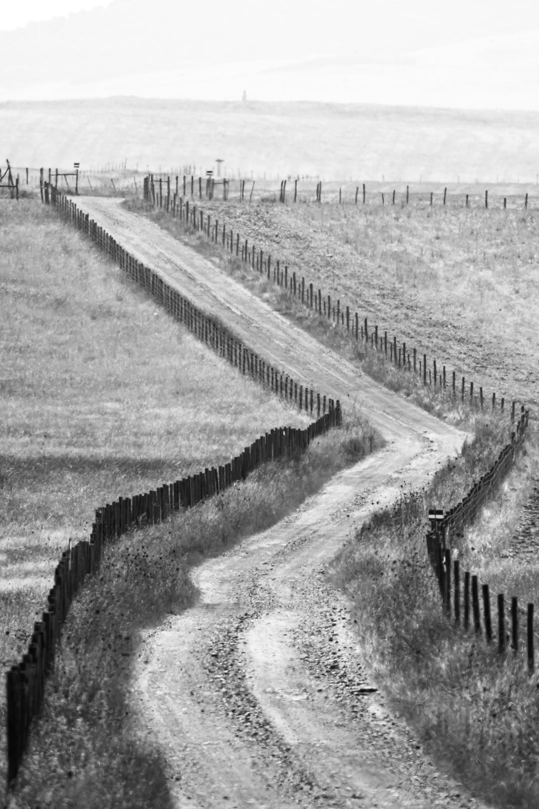 Leading lines in Portugal while on a birdwatching trip.