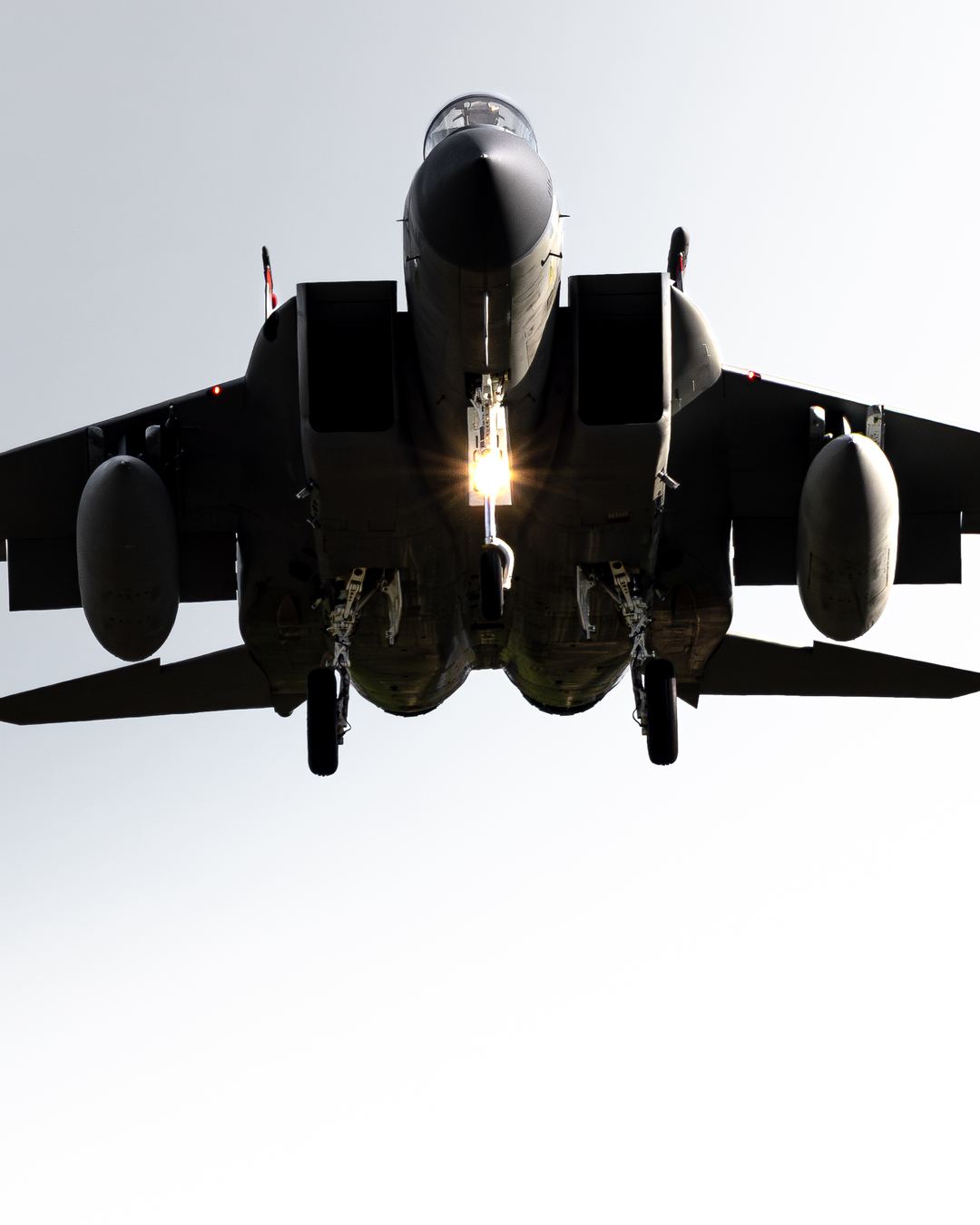 Fresno Eagle on final