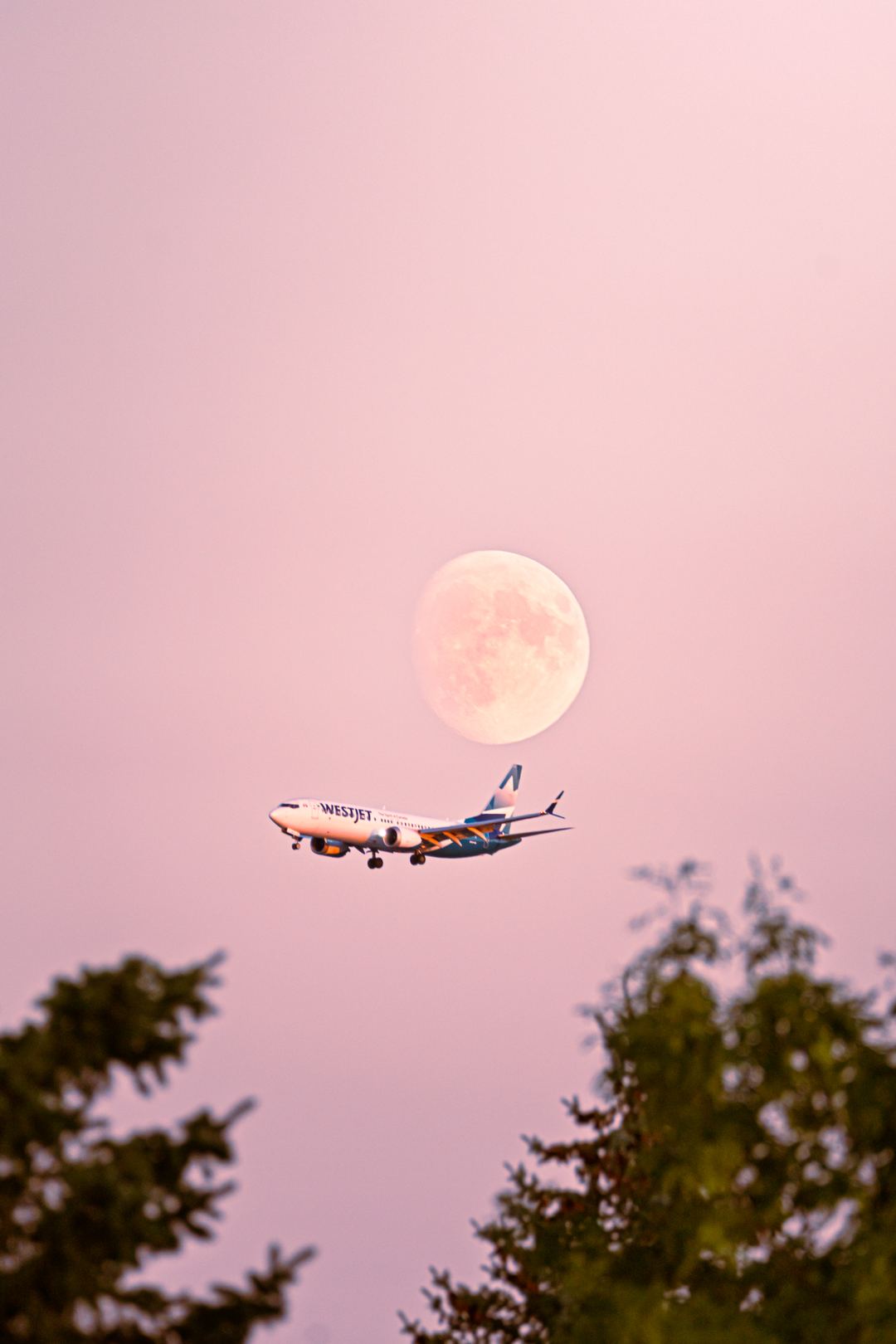 Westjet × Moon 