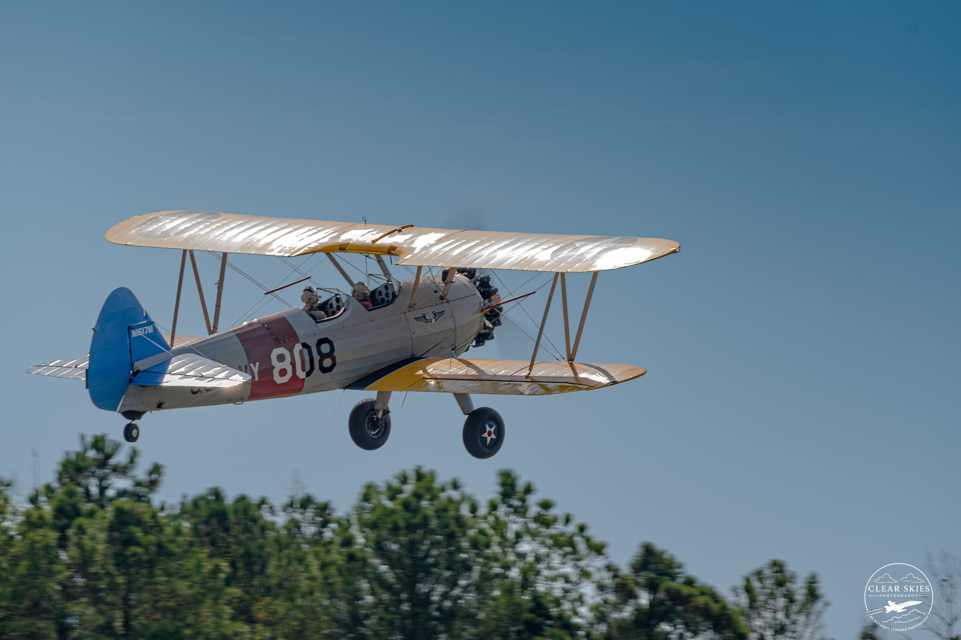 A Boeing Stearman biplane numbered 808 flying low over trees against a blue sky.