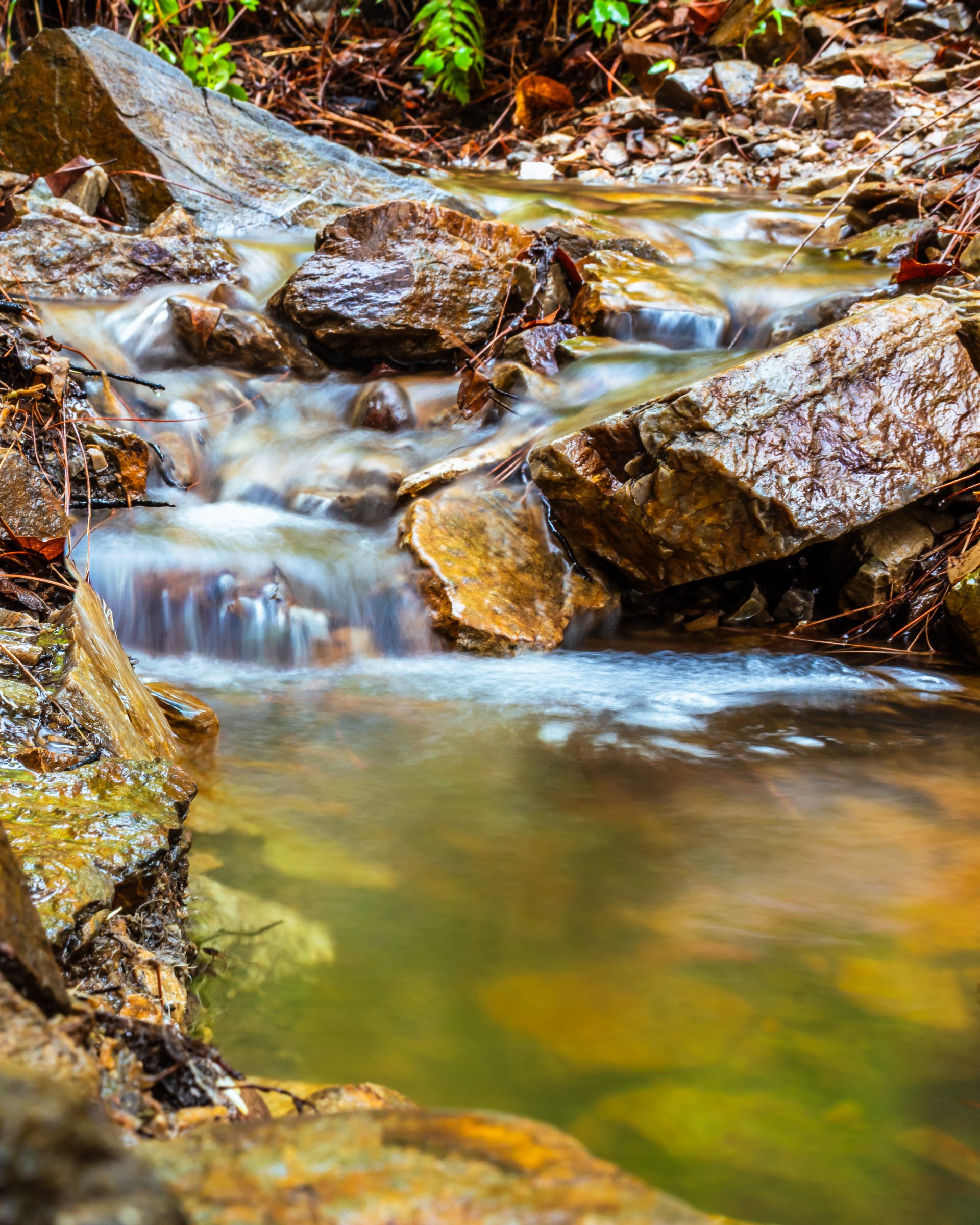 A small woodland stream running over wet rocks into a still pool, the falling water smoothed into a soft blur.